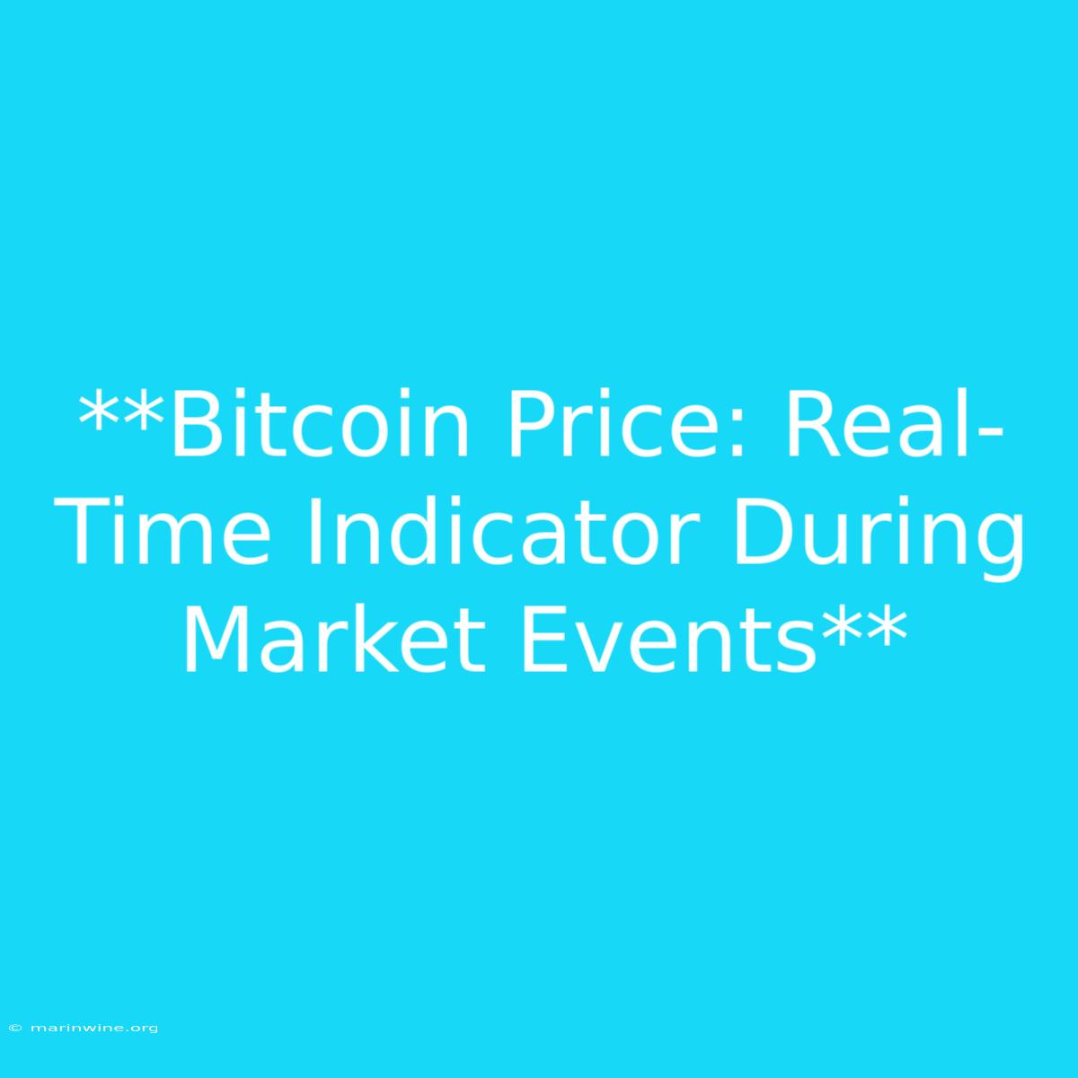 **Bitcoin Price: Real-Time Indicator During Market Events** 