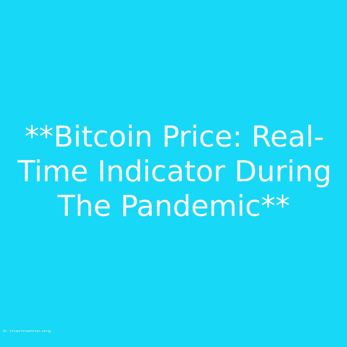 **Bitcoin Price: Real-Time Indicator During The Pandemic**