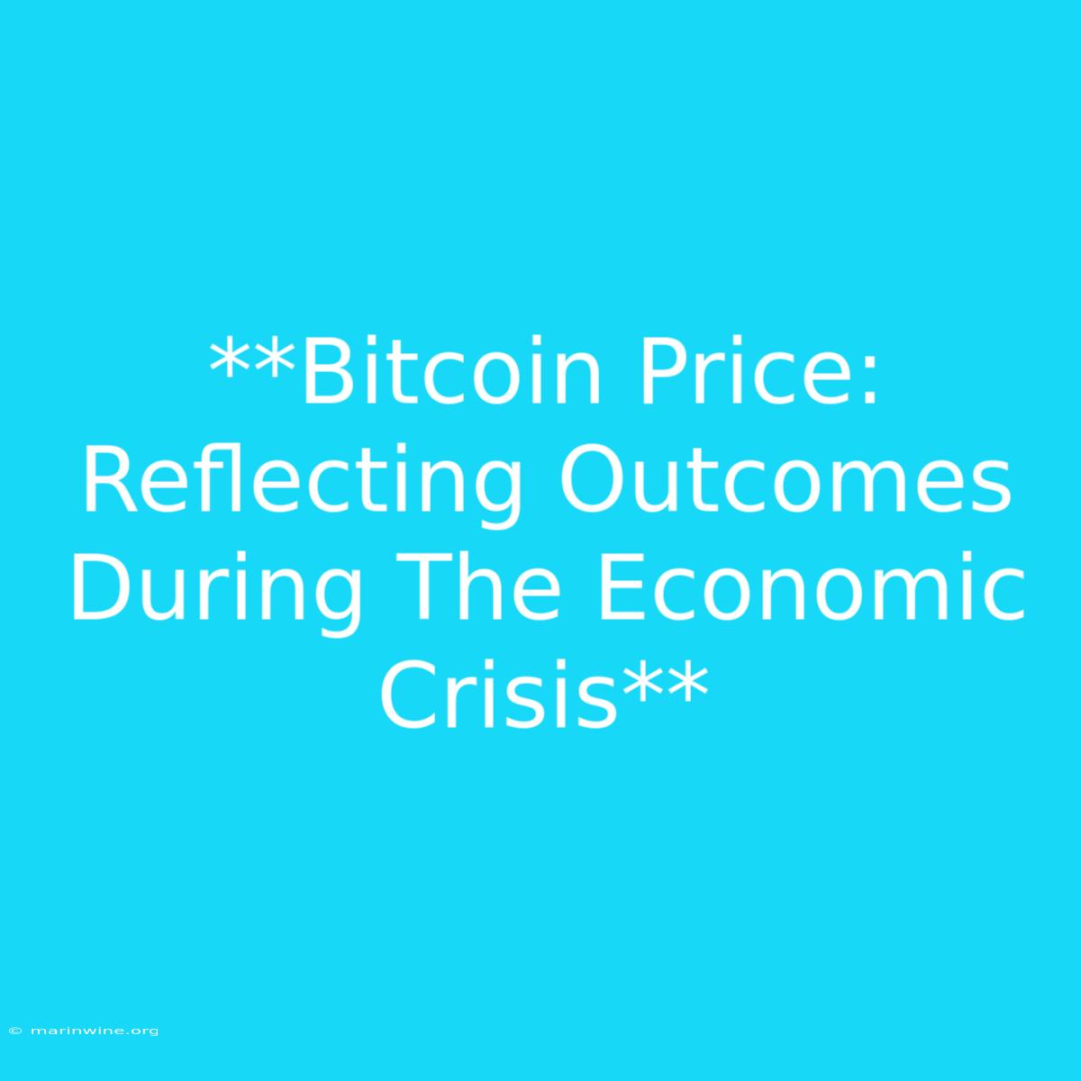 **Bitcoin Price: Reflecting Outcomes During The Economic Crisis** 