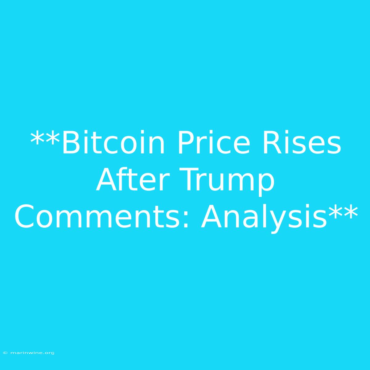 **Bitcoin Price Rises After Trump Comments: Analysis**