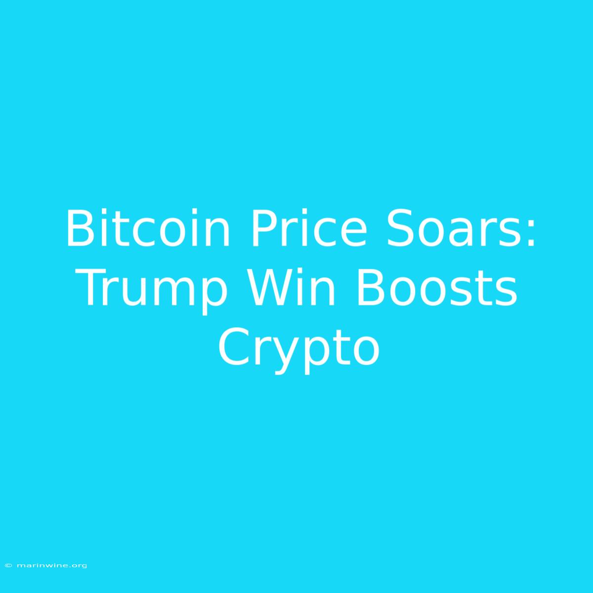 Bitcoin Price Soars: Trump Win Boosts Crypto 