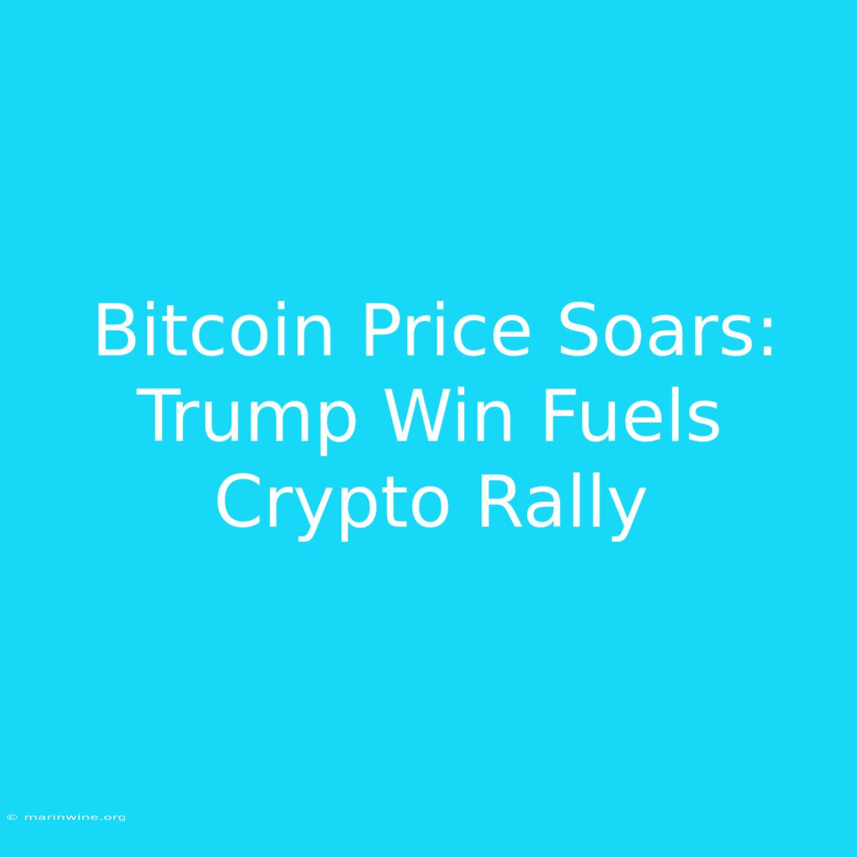 Bitcoin Price Soars: Trump Win Fuels Crypto Rally