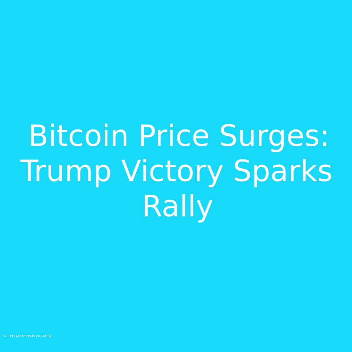 Bitcoin Price Surges: Trump Victory Sparks Rally