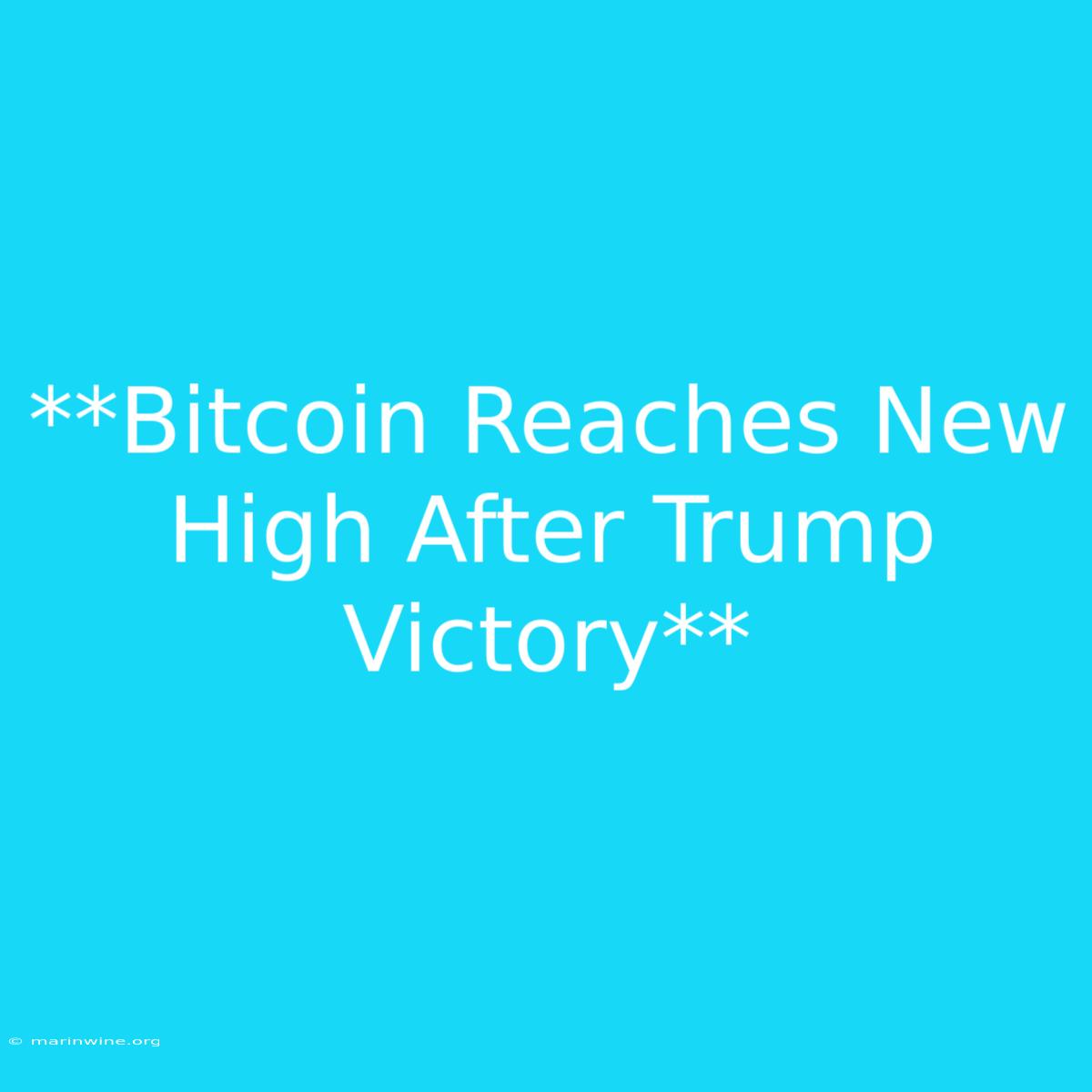 **Bitcoin Reaches New High After Trump Victory**