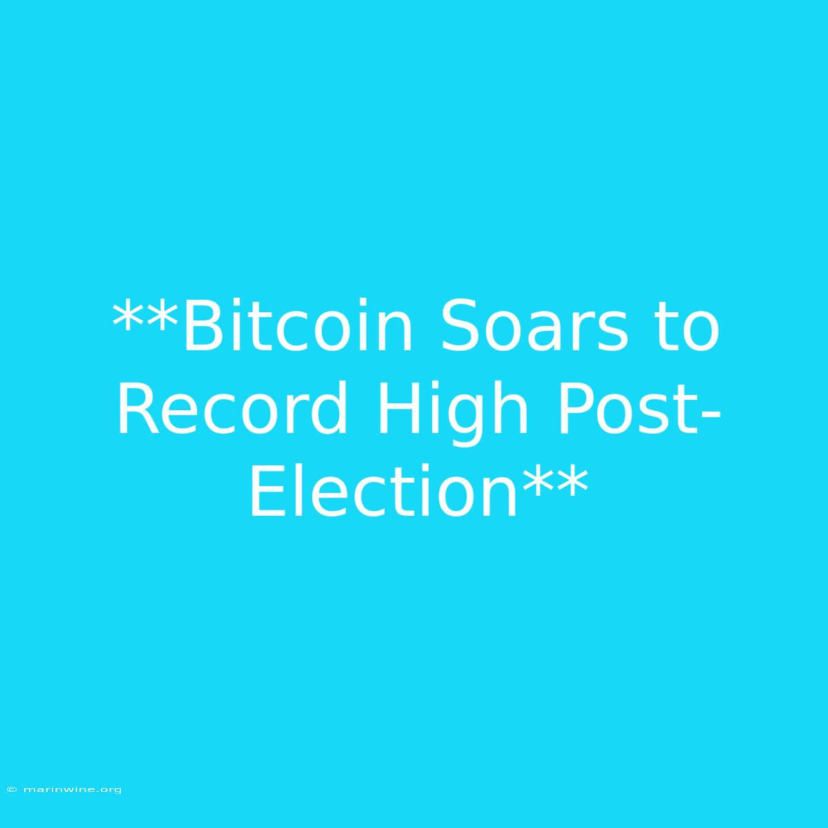 **Bitcoin Soars To Record High Post-Election** 