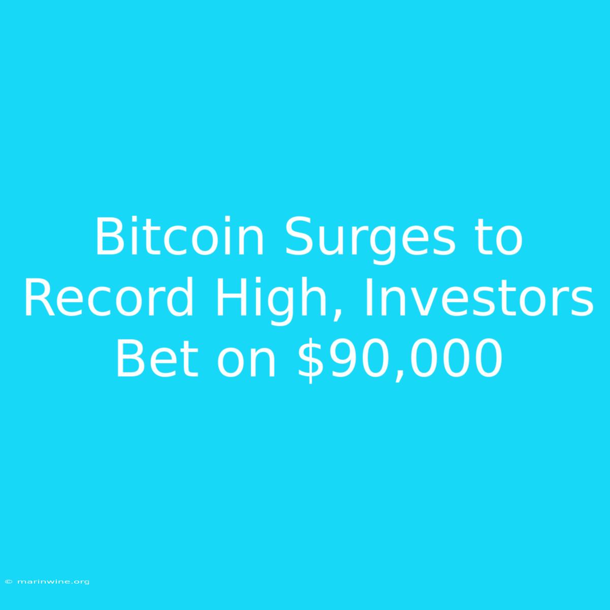 Bitcoin Surges To Record High, Investors Bet On $90,000