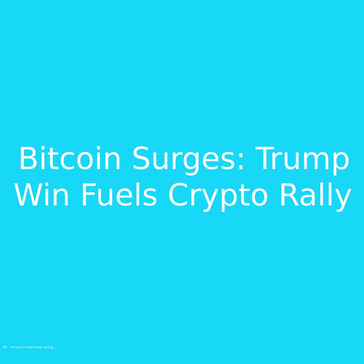 Bitcoin Surges: Trump Win Fuels Crypto Rally