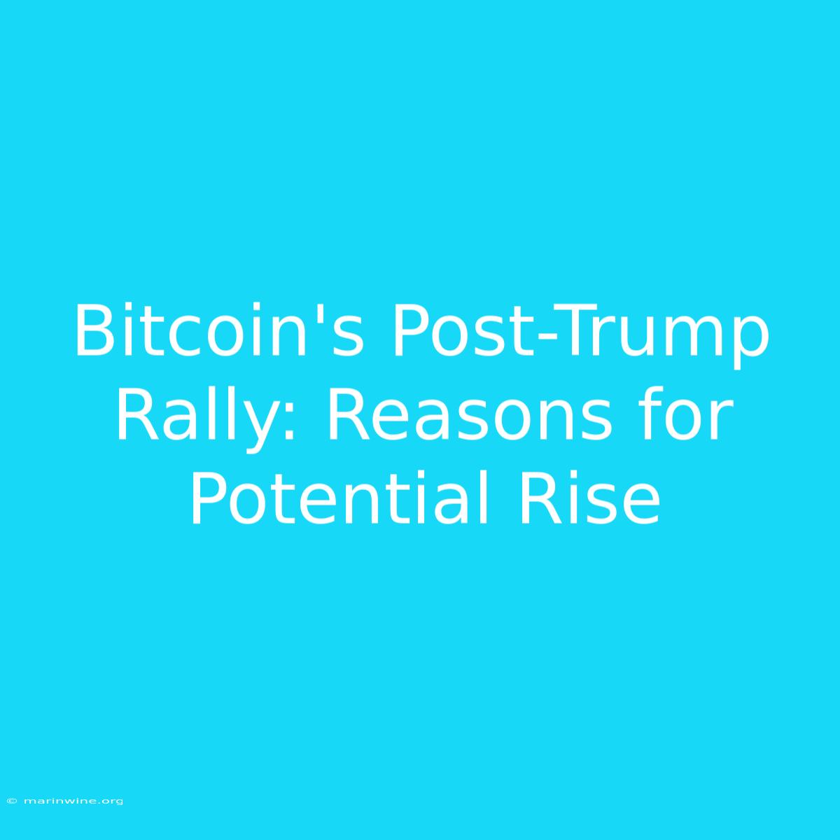 Bitcoin's Post-Trump Rally: Reasons For Potential Rise