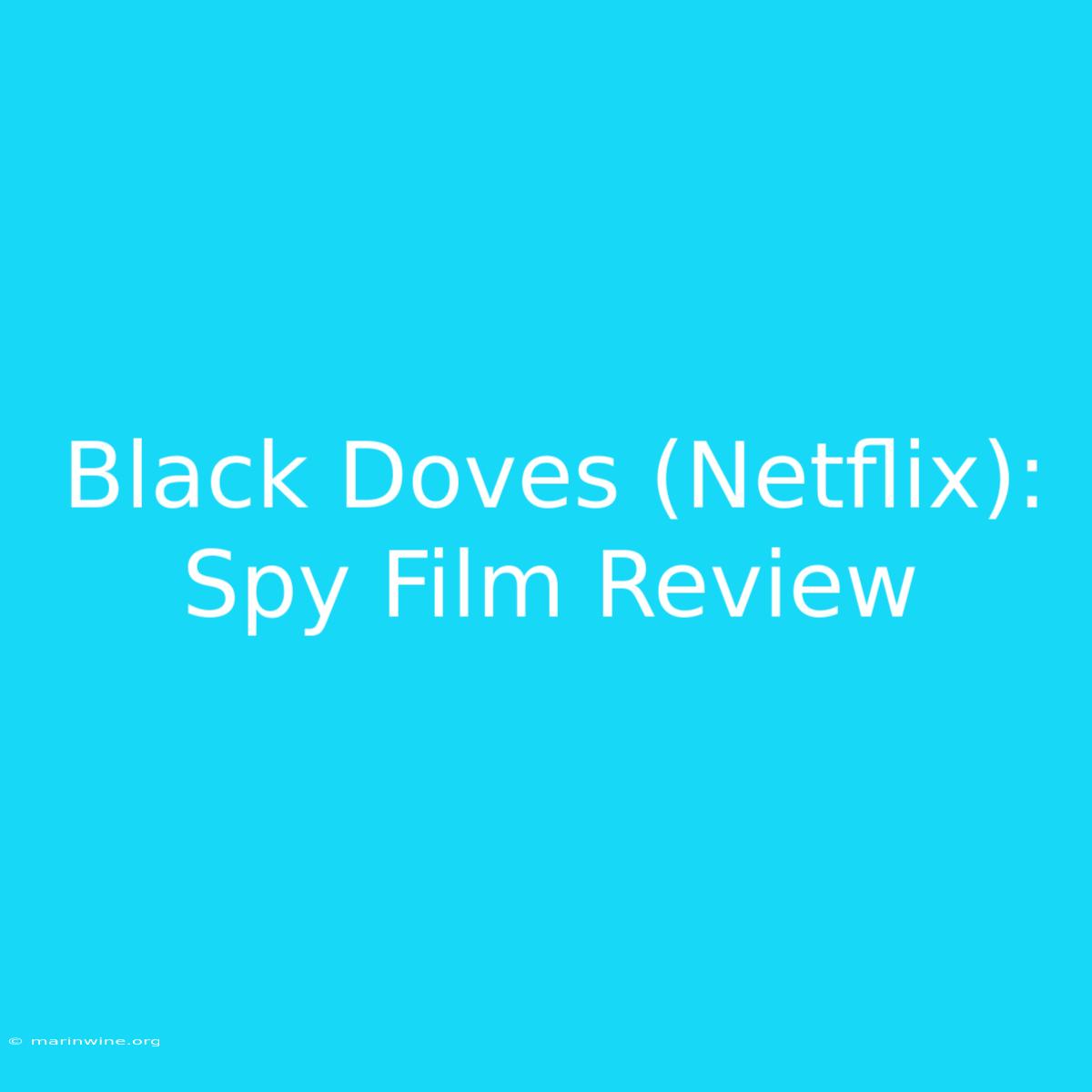 Black Doves (Netflix): Spy Film Review