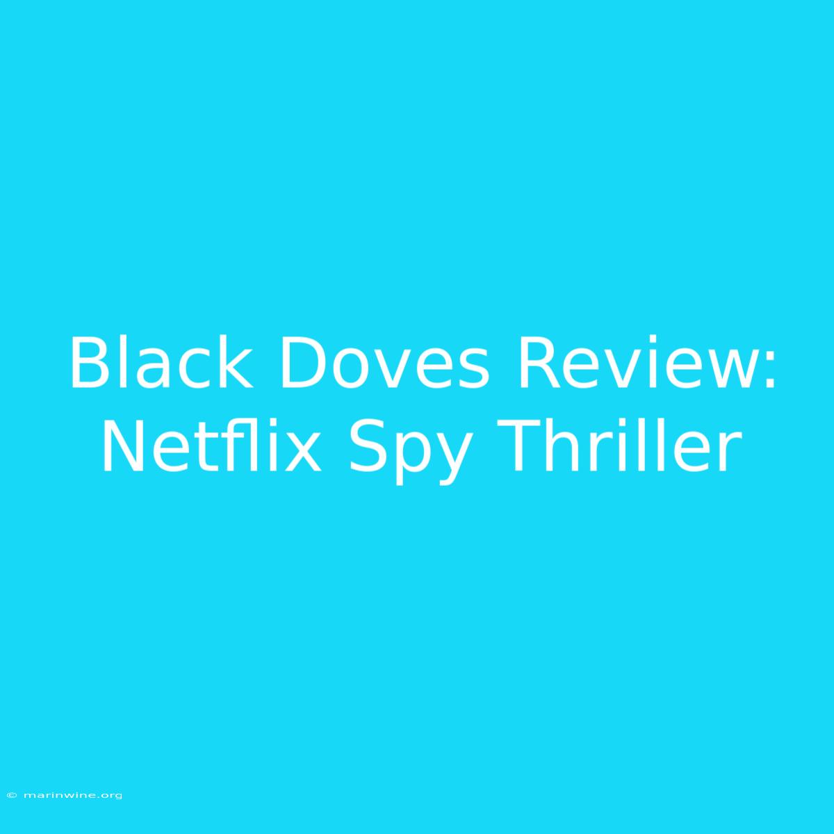 Black Doves Review: Netflix Spy Thriller