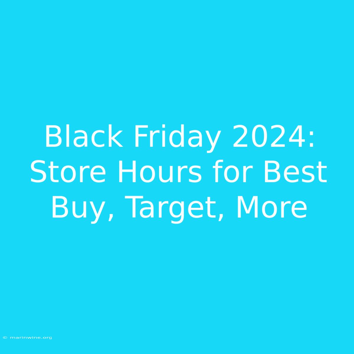 Black Friday 2024: Store Hours For Best Buy, Target, More