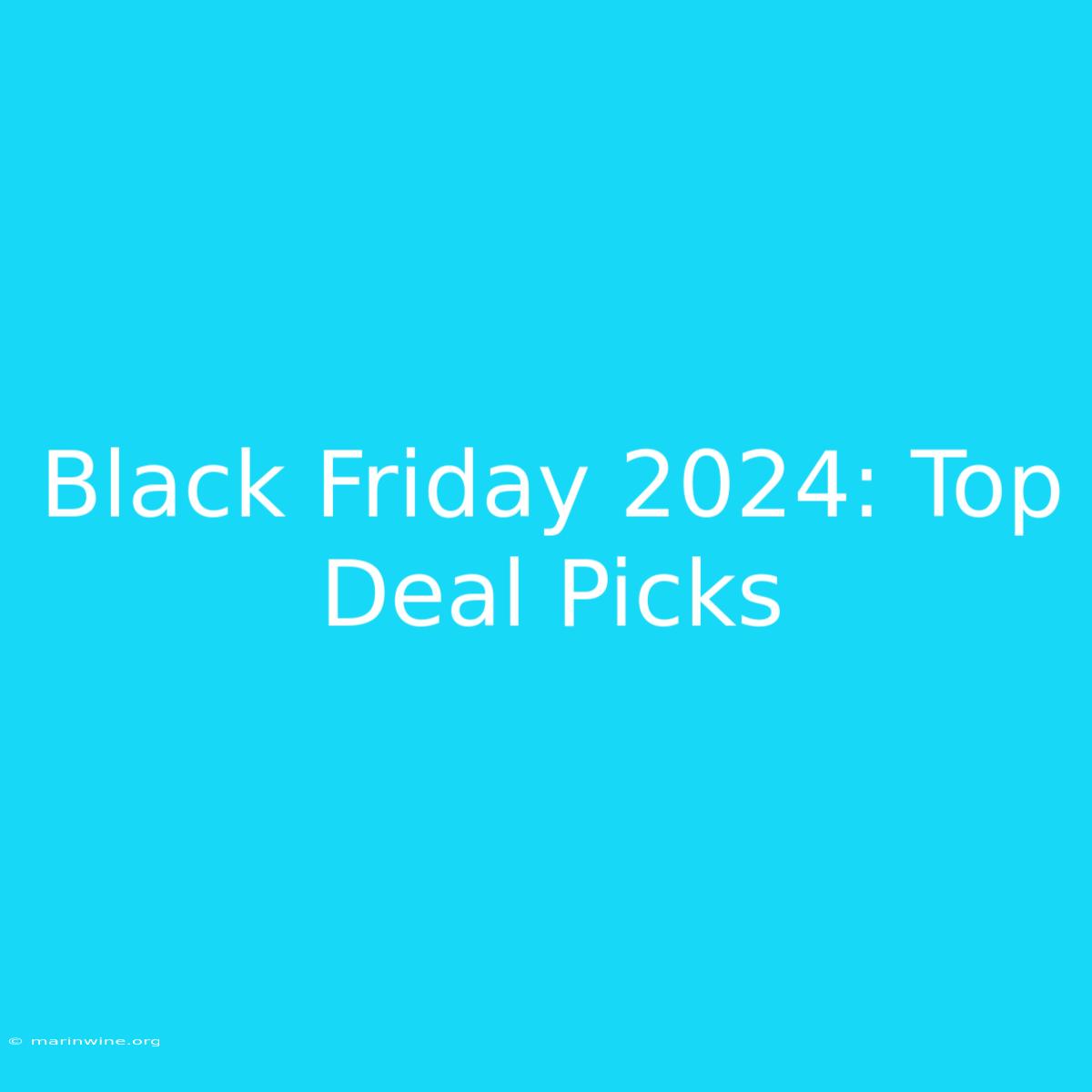 Black Friday 2024: Top Deal Picks