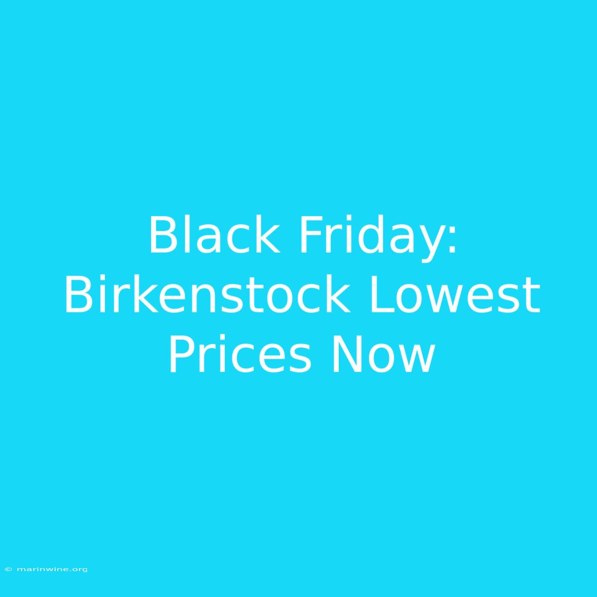 Black Friday: Birkenstock Lowest Prices Now