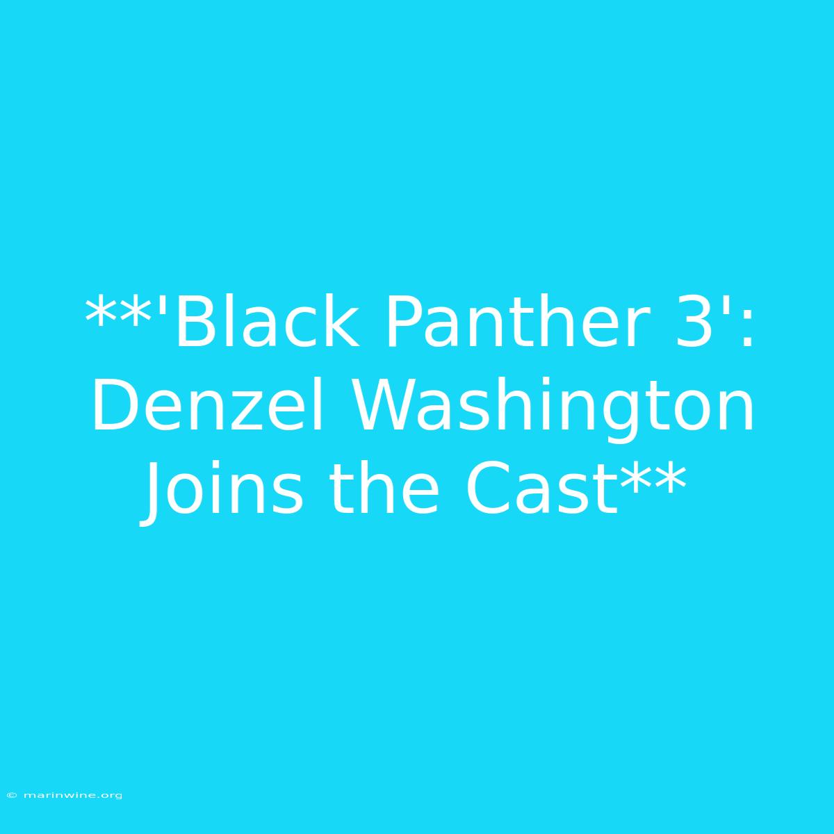 **'Black Panther 3': Denzel Washington Joins The Cast** 