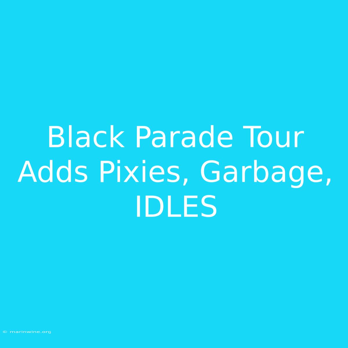 Black Parade Tour Adds Pixies, Garbage, IDLES