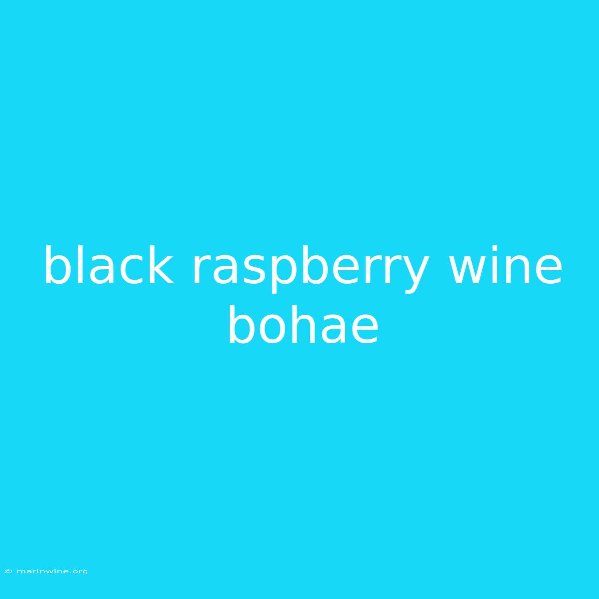 Black Raspberry Wine Bohae