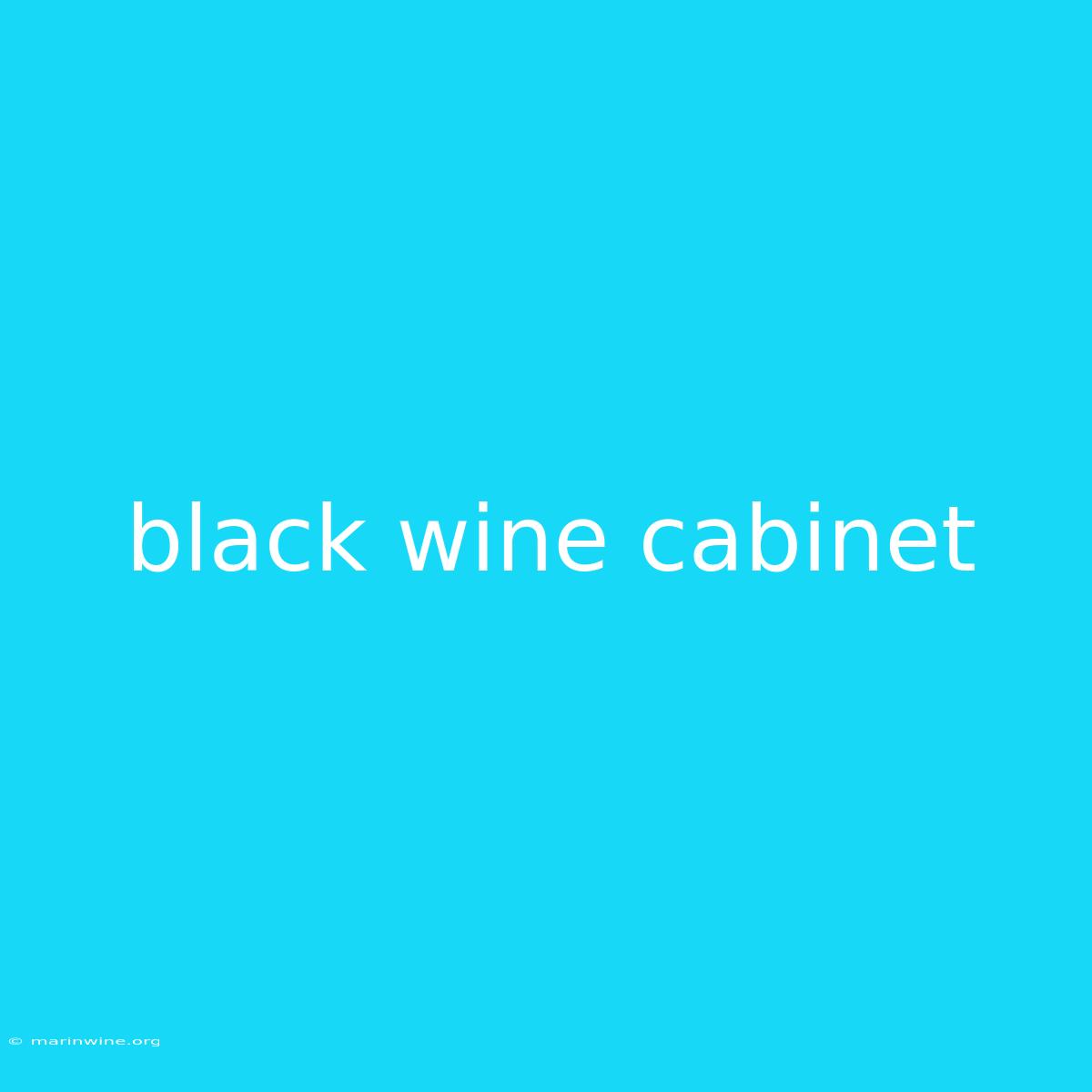 Black Wine Cabinet