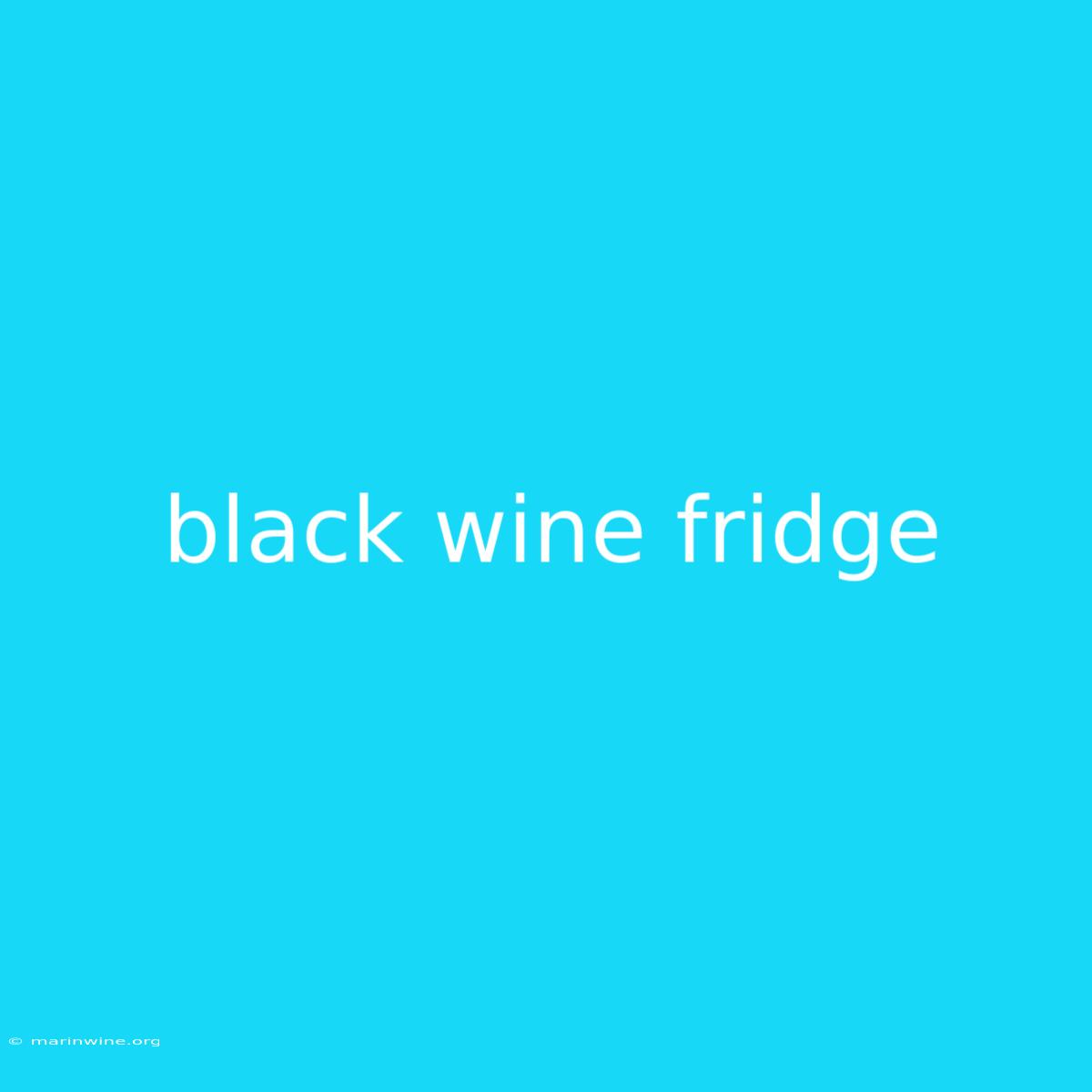 Black Wine Fridge