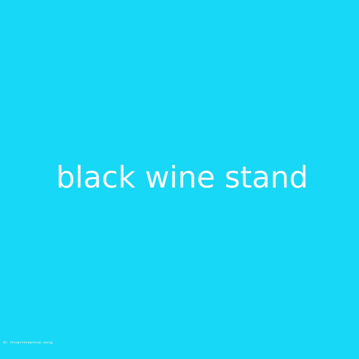 Black Wine Stand