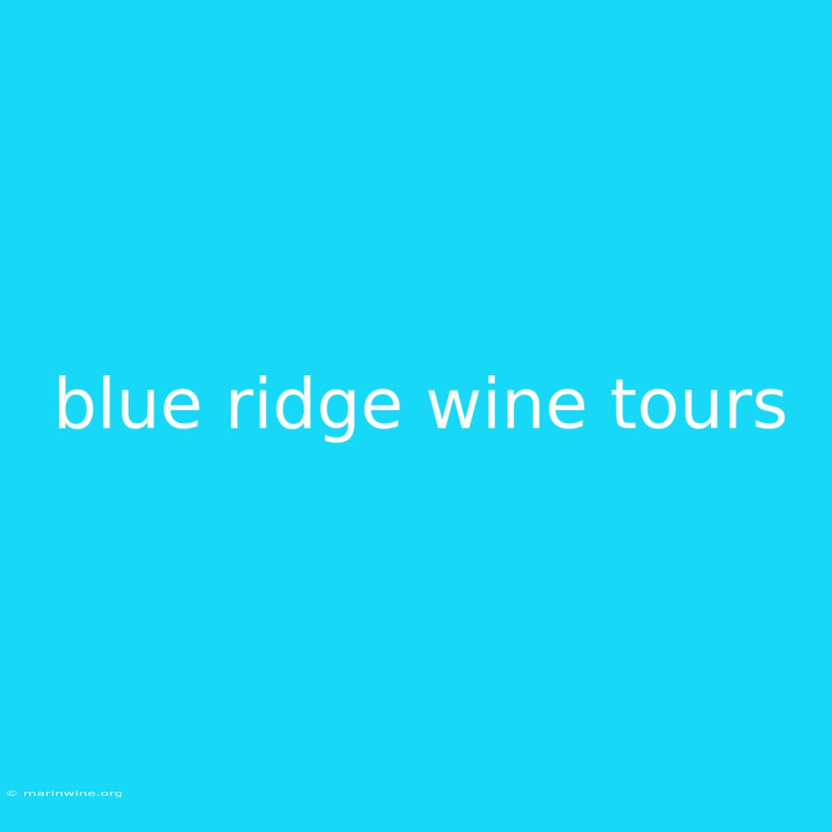 Blue Ridge Wine Tours