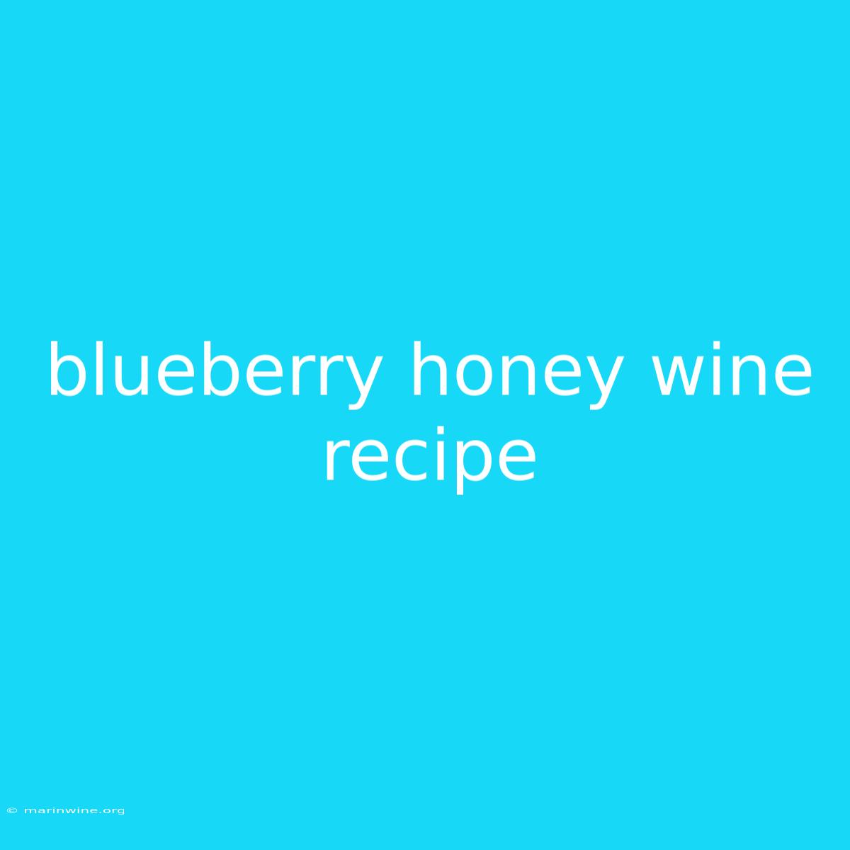 Blueberry Honey Wine Recipe