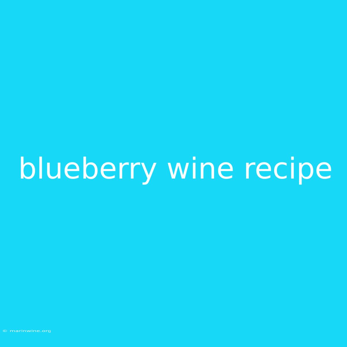 Blueberry Wine Recipe