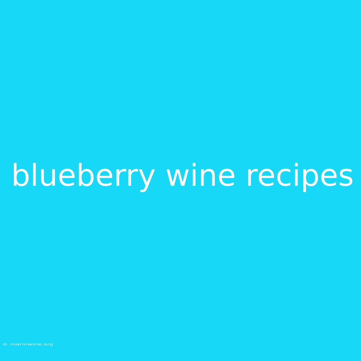 Blueberry Wine Recipes