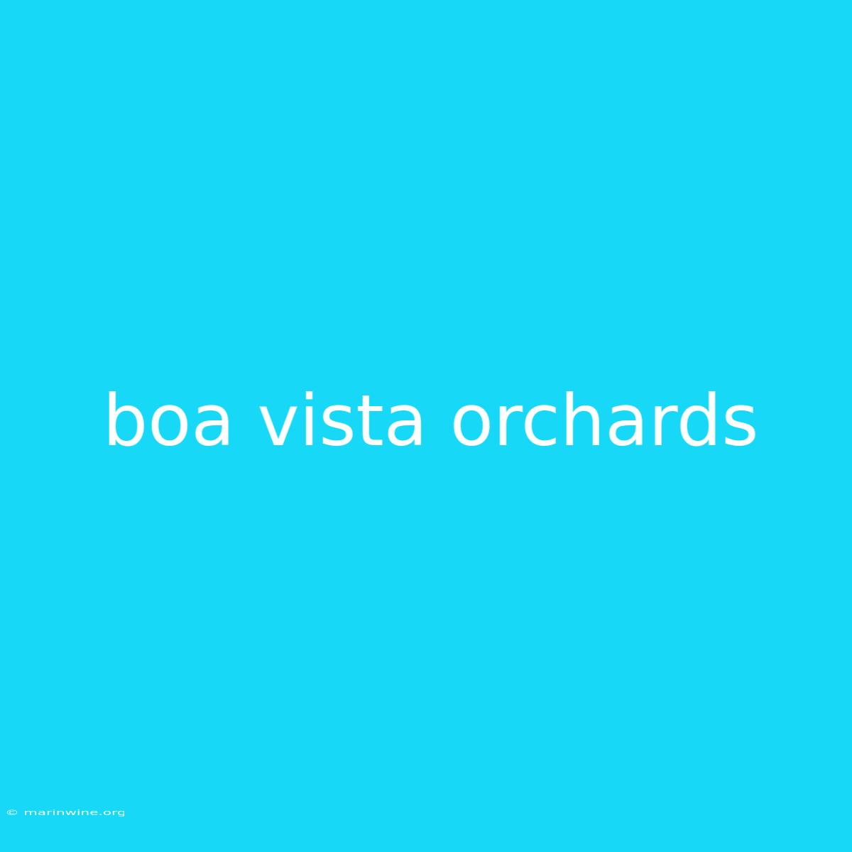 Boa Vista Orchards