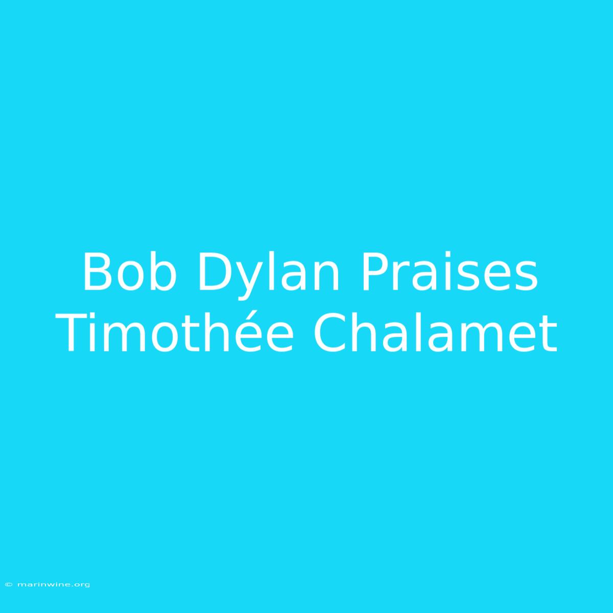 Bob Dylan Praises Timothée Chalamet