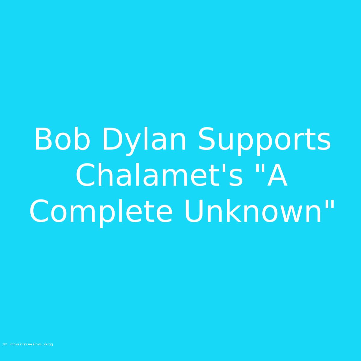 Bob Dylan Supports Chalamet's 