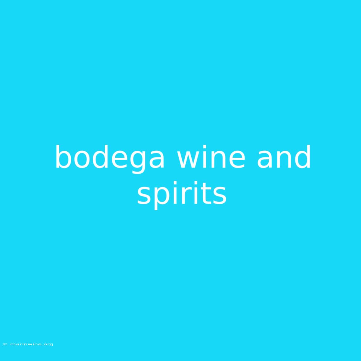 Bodega Wine And Spirits