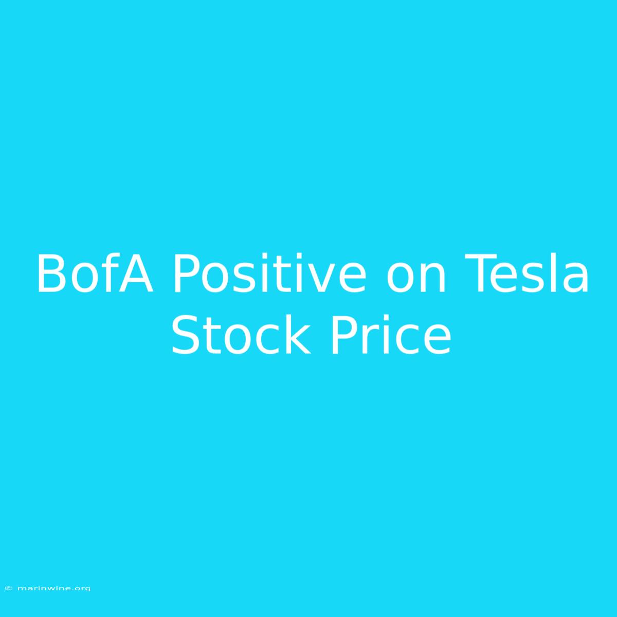 BofA Positive On Tesla Stock Price