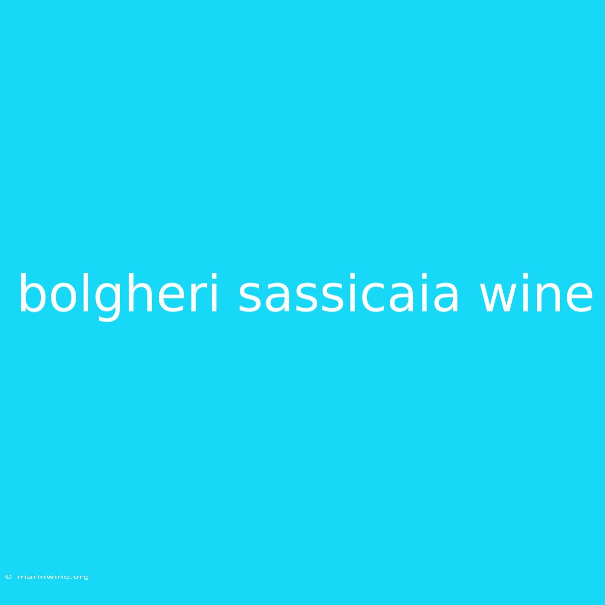 Bolgheri Sassicaia Wine