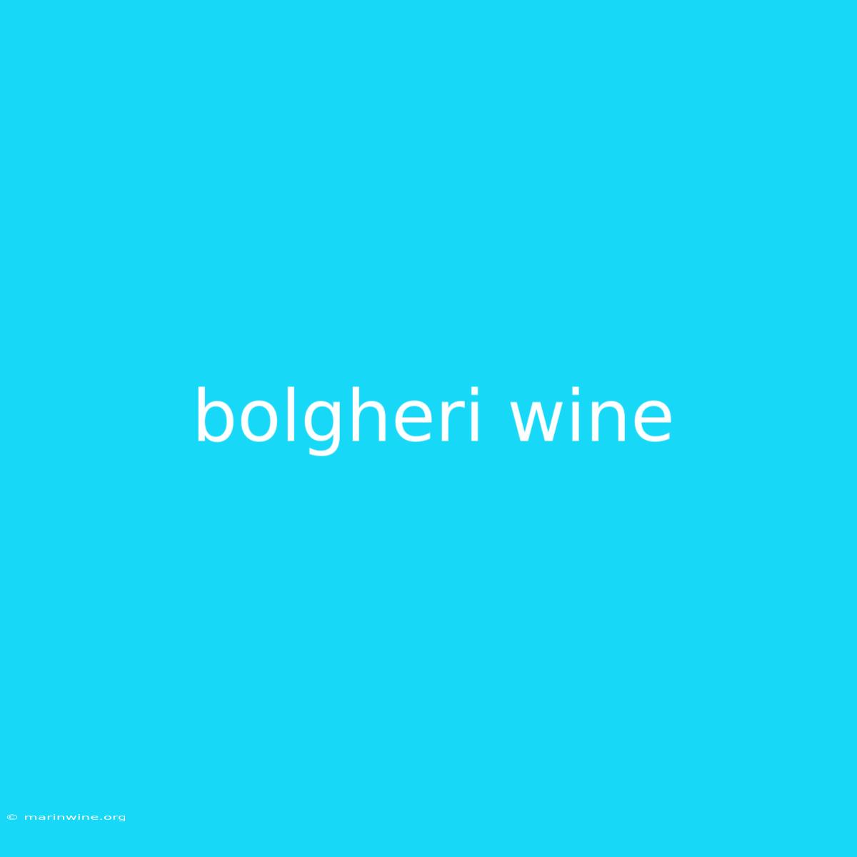 Bolgheri Wine