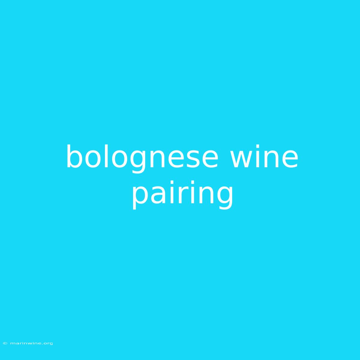 Bolognese Wine Pairing