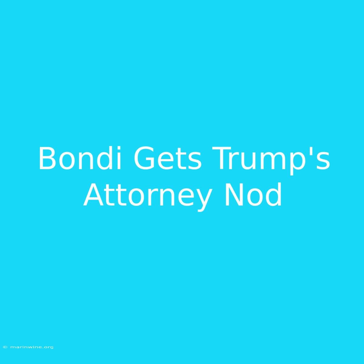 Bondi Gets Trump's Attorney Nod