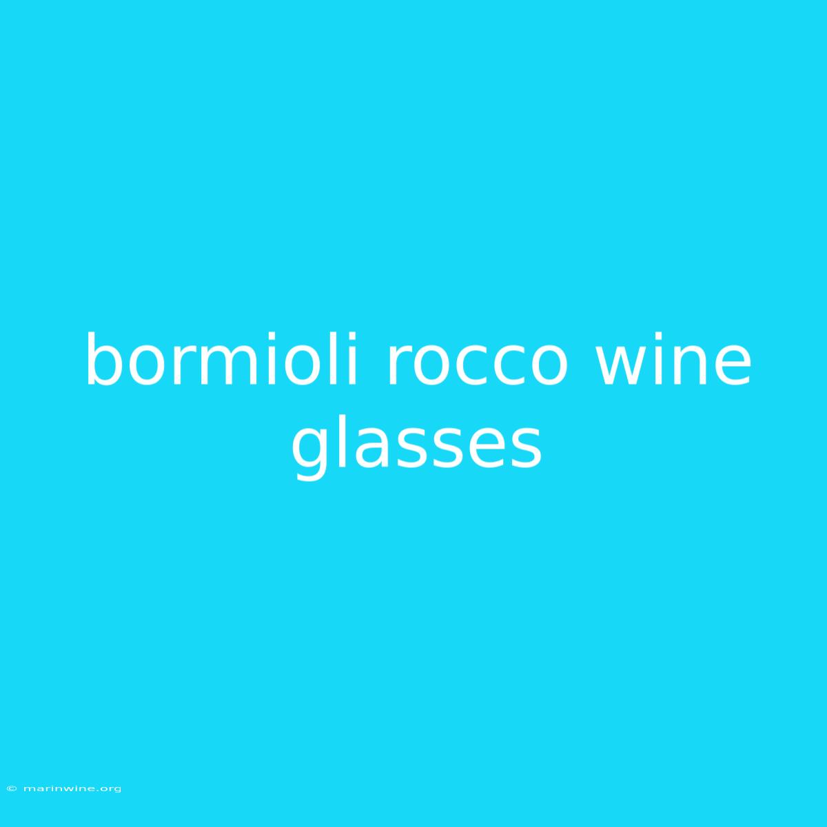 Bormioli Rocco Wine Glasses