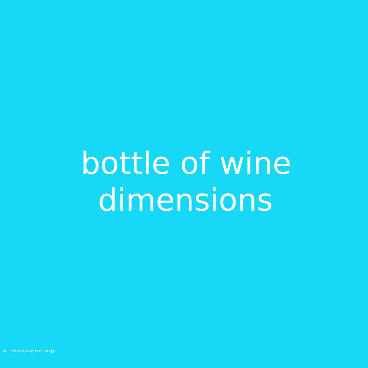 Bottle Of Wine Dimensions