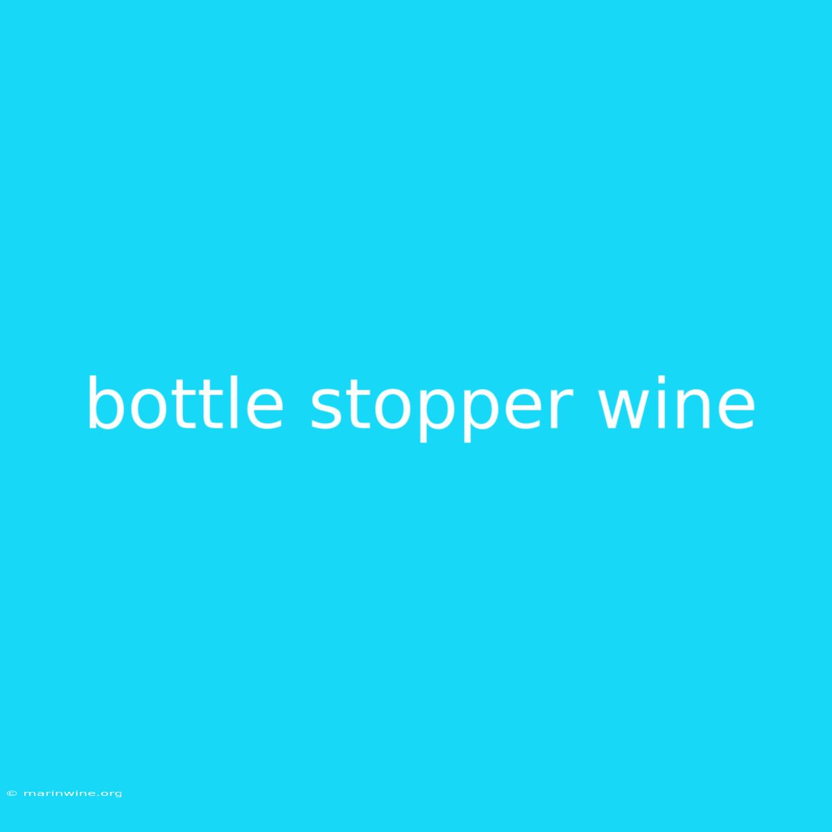 Bottle Stopper Wine