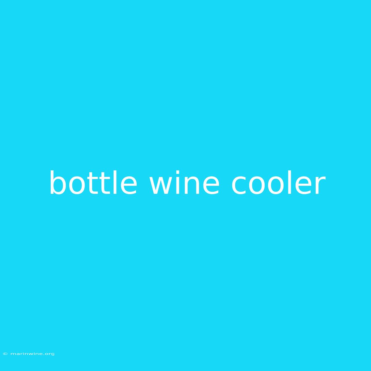 Bottle Wine Cooler