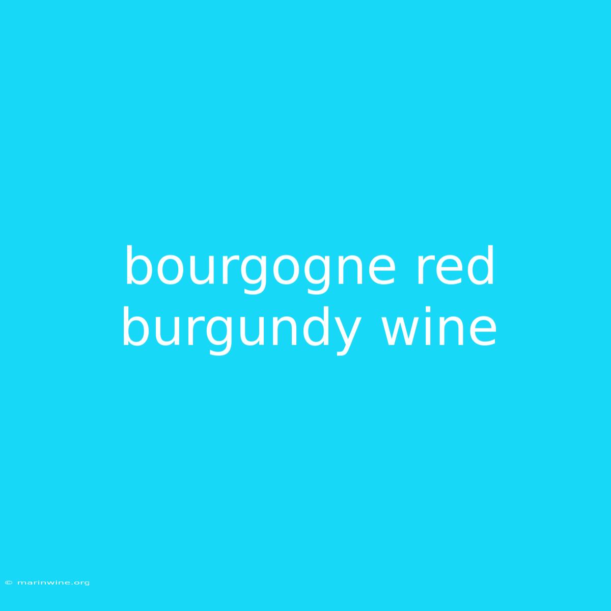 Bourgogne Red Burgundy Wine