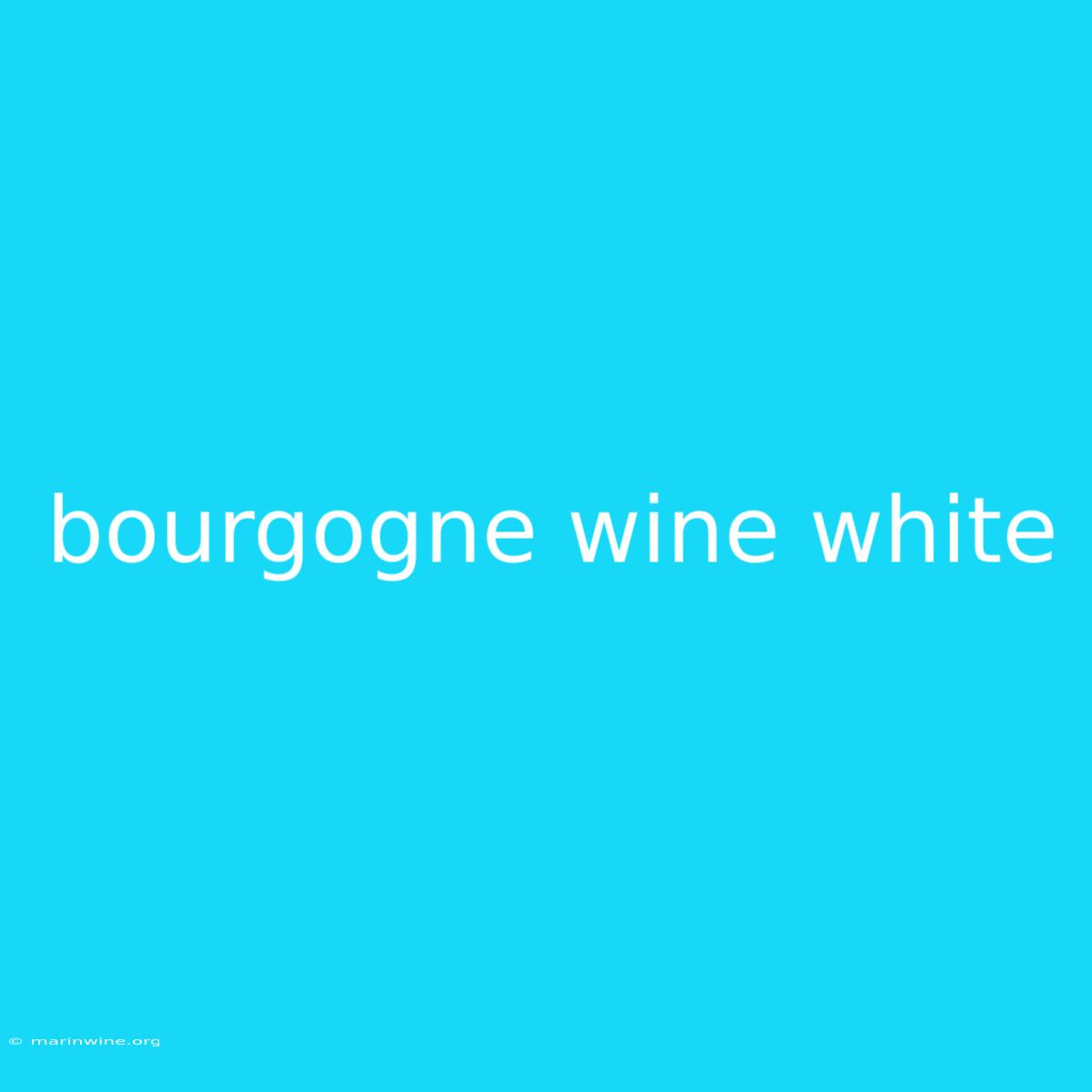 Bourgogne Wine White