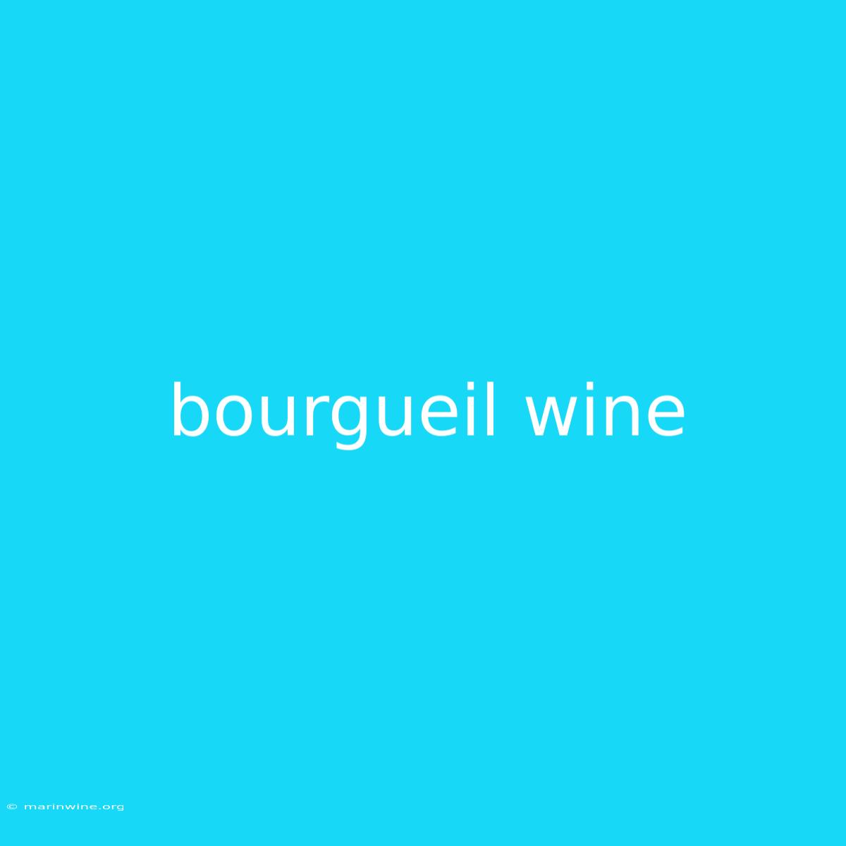 Bourgueil Wine