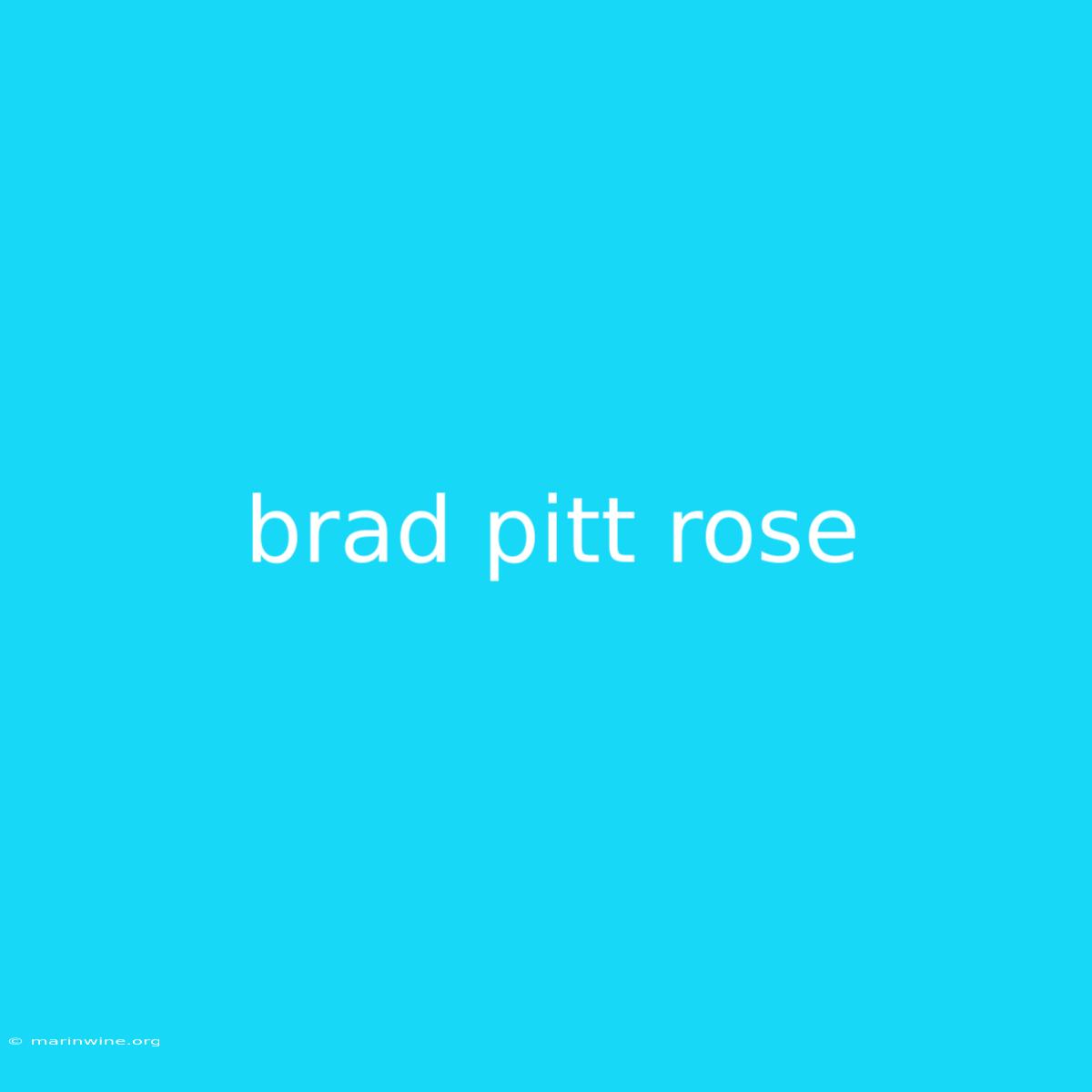 Brad Pitt Rose