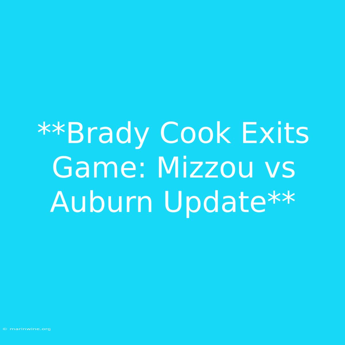 **Brady Cook Exits Game: Mizzou Vs Auburn Update**