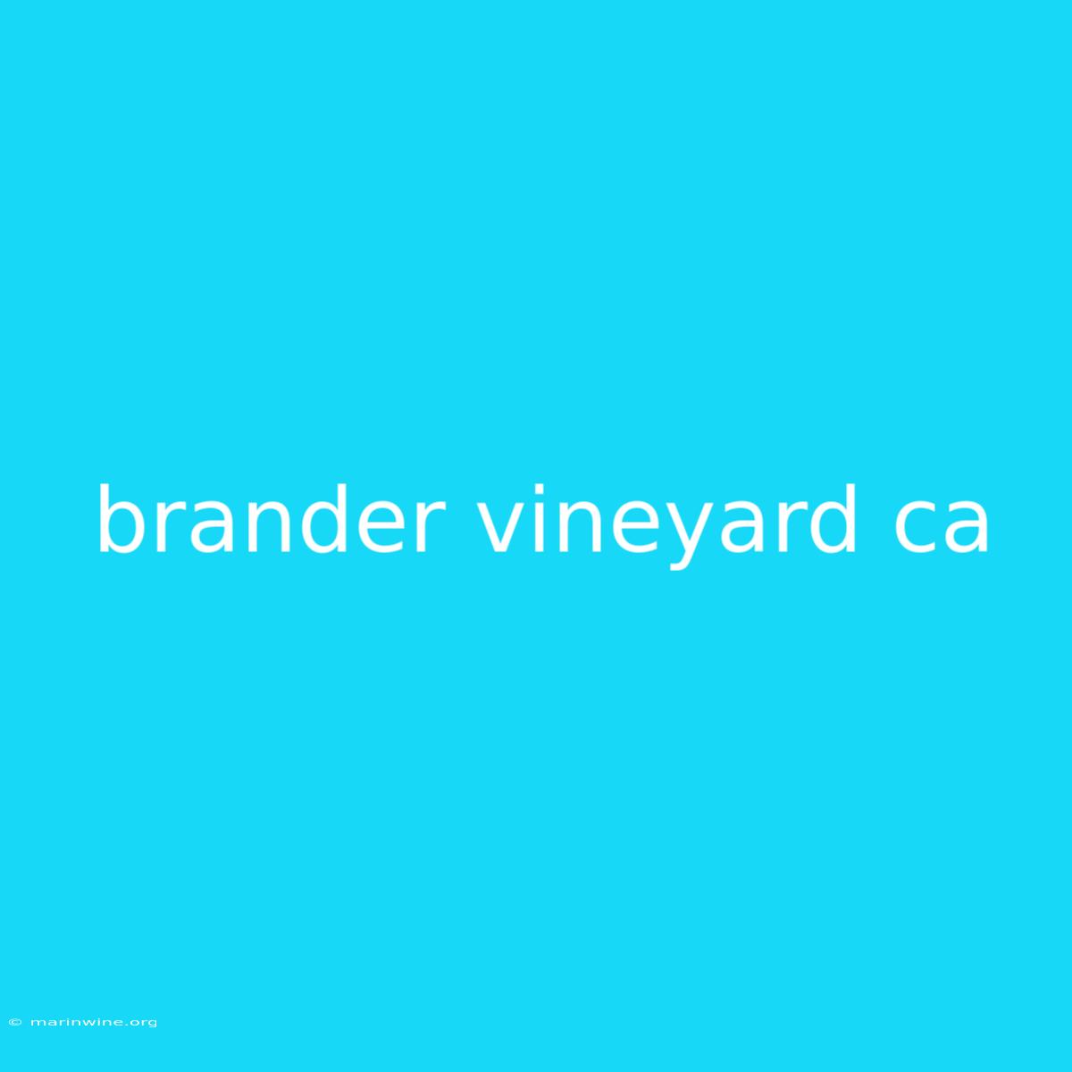 Brander Vineyard Ca