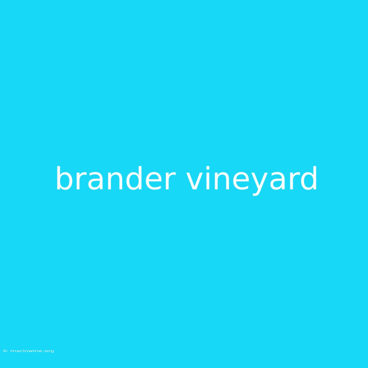 Brander Vineyard