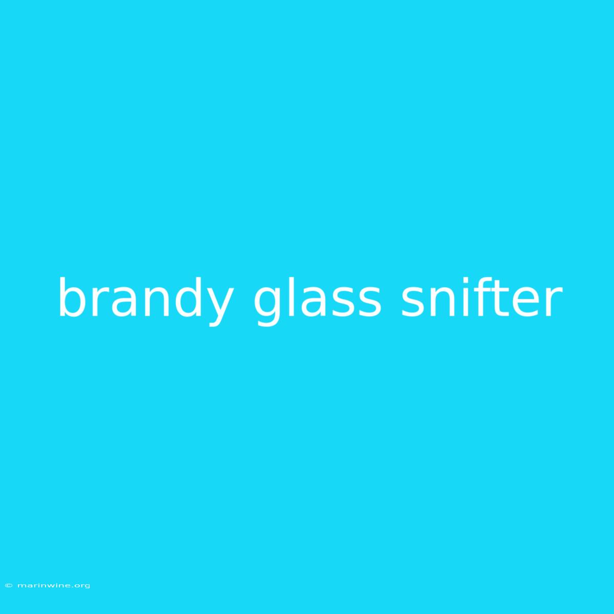 Brandy Glass Snifter