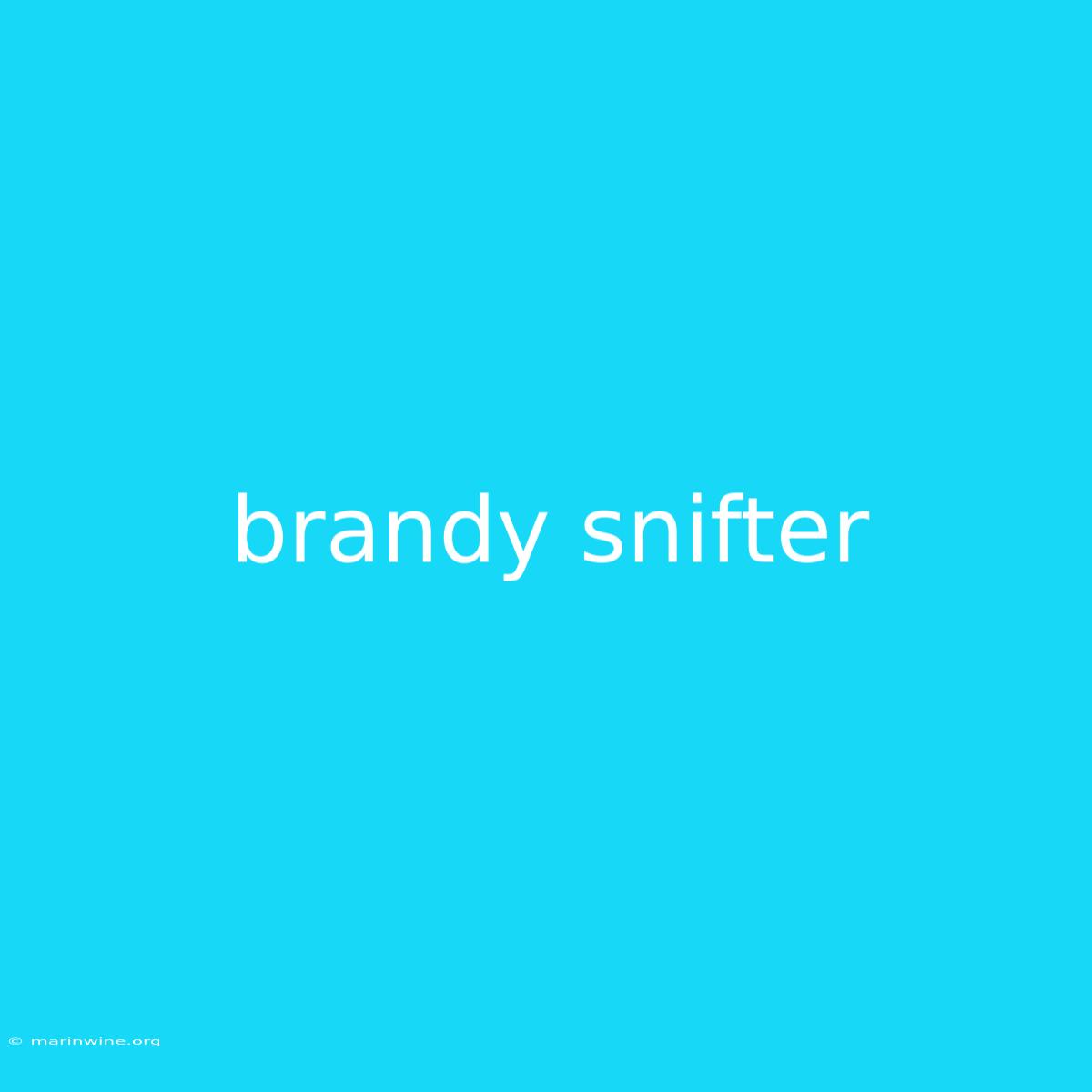 Brandy Snifter