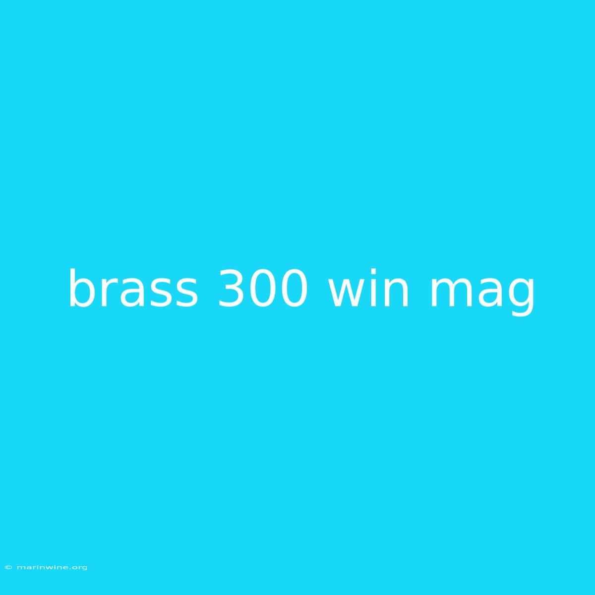 Brass 300 Win Mag